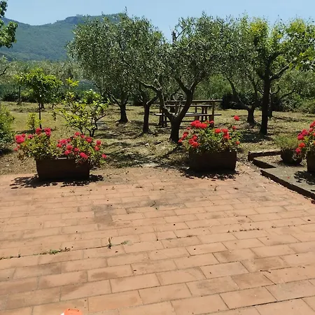 Holiday home Kenia Flora