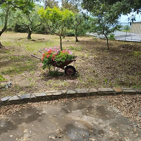 Kenia Flora Holiday home